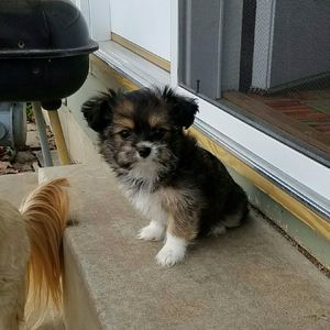 Meet your Posher, Linda